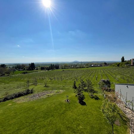 Ubytovani U Vinice Mělník Extérieur photo